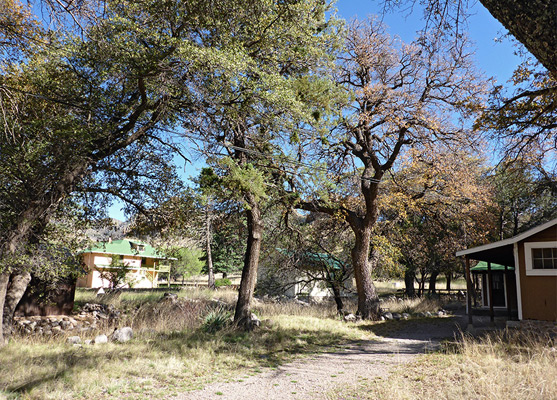 Trees and outbuildings at Faraway Ranch