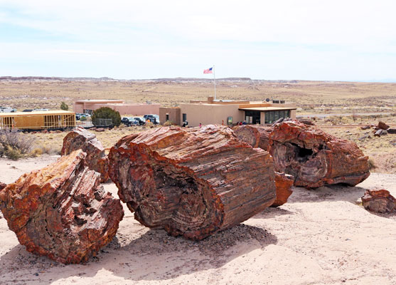 Petrified logs near the visitor center