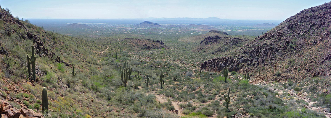 View down Hieroglyphic Canyon