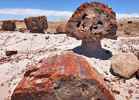Petrified wood hoodoo 