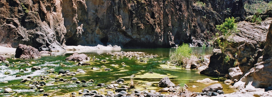 The greenish waters of Burro Creek