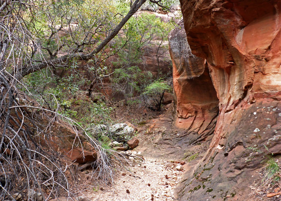 Narrow place along the streambed