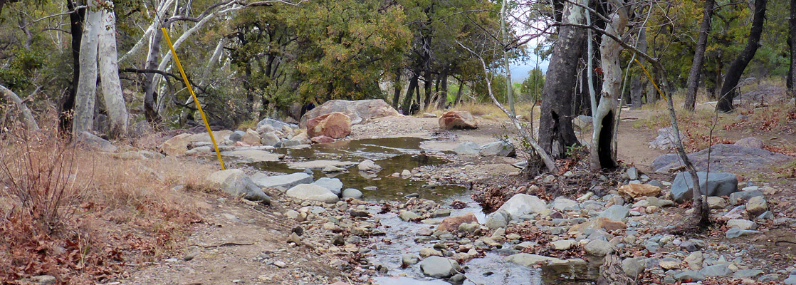 Leaves and boulders in Madera Creek