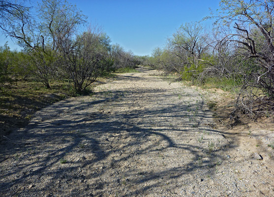 Dry wash near Mica View