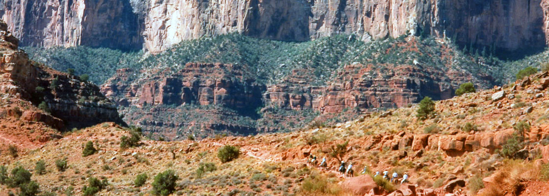 A mule train ascending the South Kaibab Trail