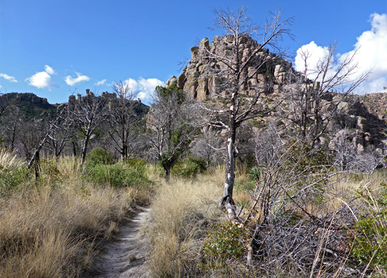 Level path at the edge of Picket Park