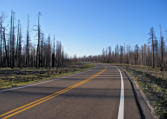 North Rim Parkway