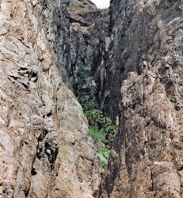 Cliffs of Palm Canyon