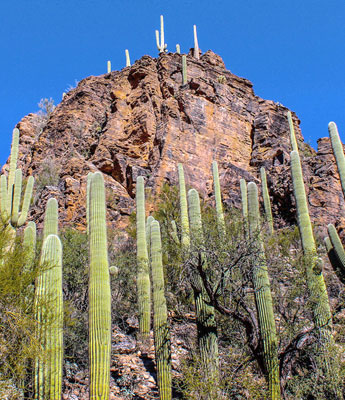 Sabino Canyon, AZ