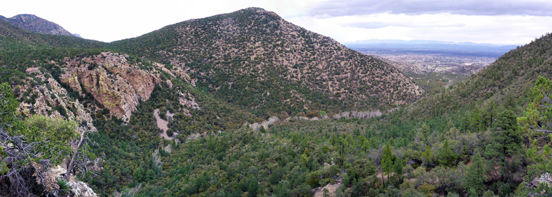 Above the lower end of Ramsey Canyon