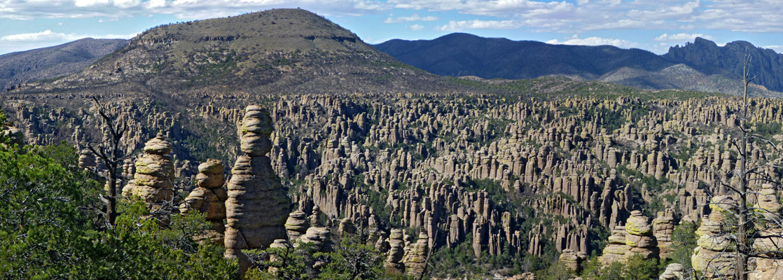 Rhyolite Canyon