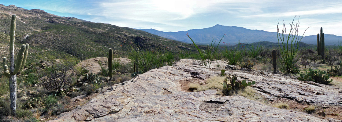 View east, towards Rincon Valley