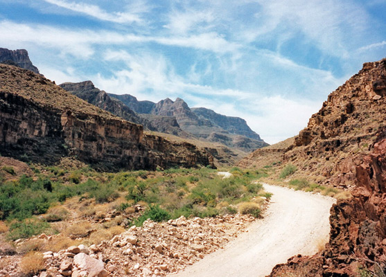 Unpaved road down
Peach Springs Canyon