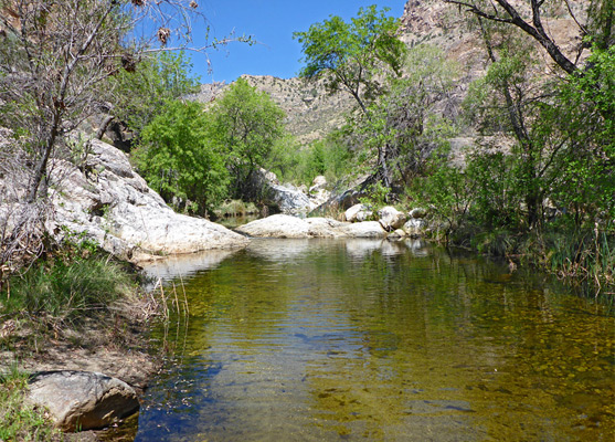 Wide part of the creek