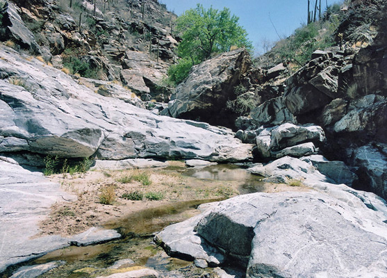 Shallow stream above the Seven Falls