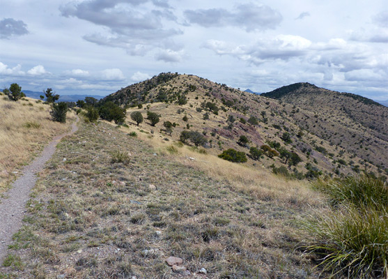 Level trail on Smuggler's Ridge