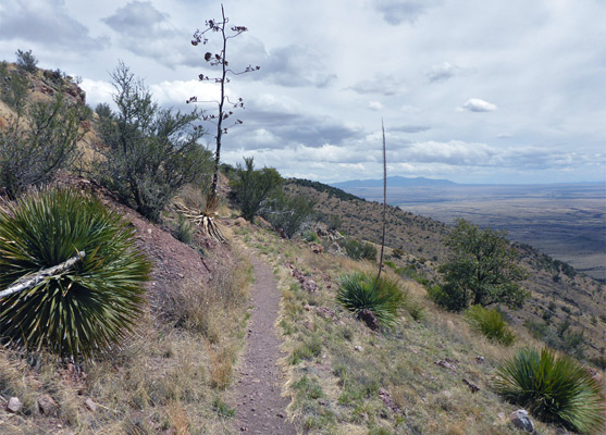 Path along Smugglers Ridge