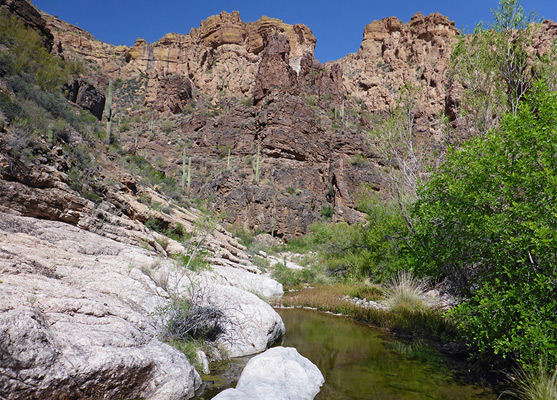 White rocks and green bushes beside Fish Creek