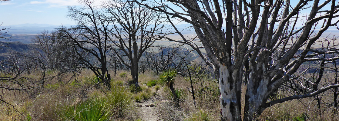 Sugarloaf Mountain Trail