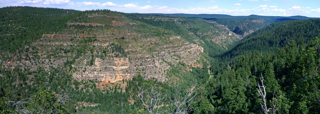 Sycamore Canyon - view from the overlook at the end of FR 110