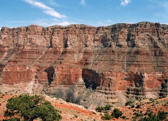 Palisades of the Desert