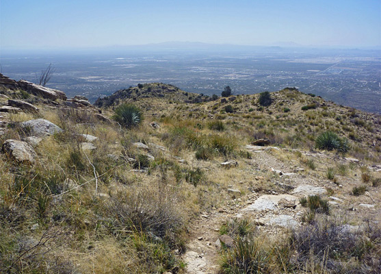 Tucson suburbs