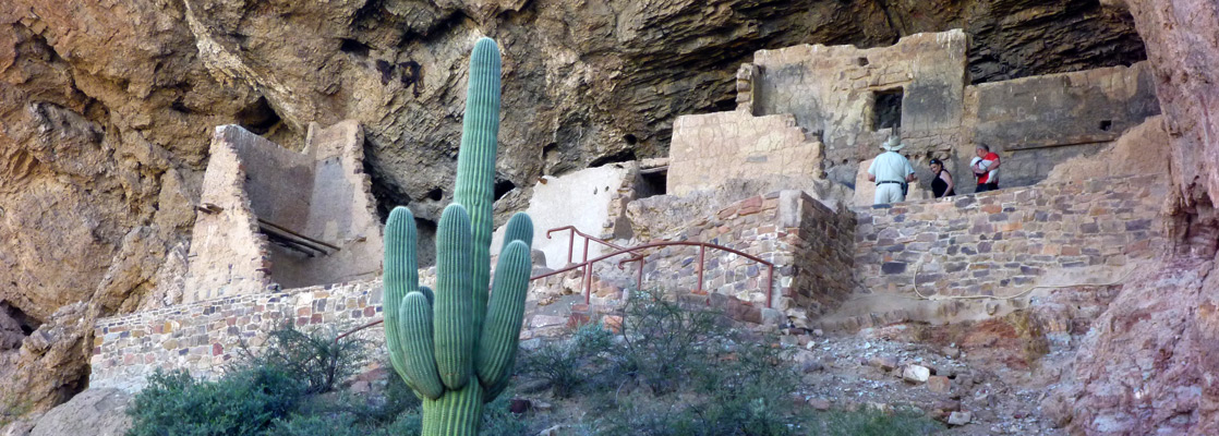 Saguaro in front of the Lower Ruin at Tonto National Monument