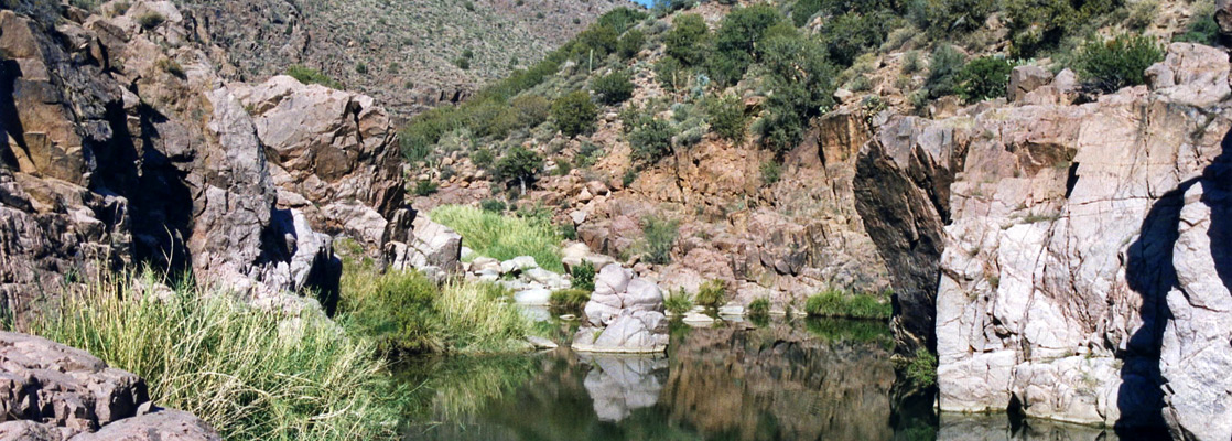 Quiet pool along Tonto Creek