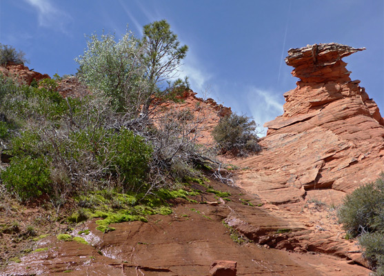 Hoodoo at Top Rock Spring