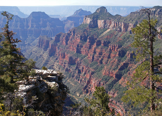 Oza Butte and red cliffs along the west side of The Transept