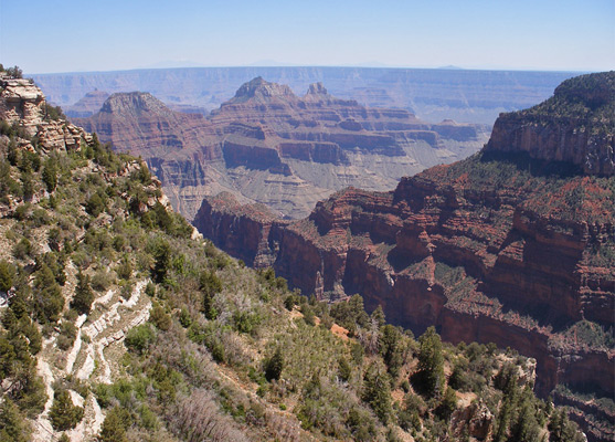 Looking south along the Transept Trail