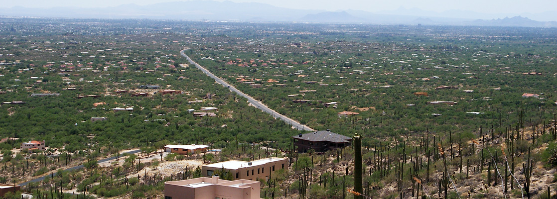 The northeast Tucson suburbs, near the start of the Catalina Highway