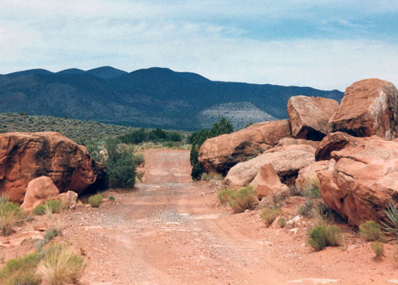 Toroweap Point Road, 2 miles before the canyon