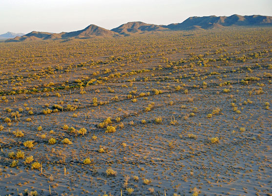 Sonoran Desert National Monument