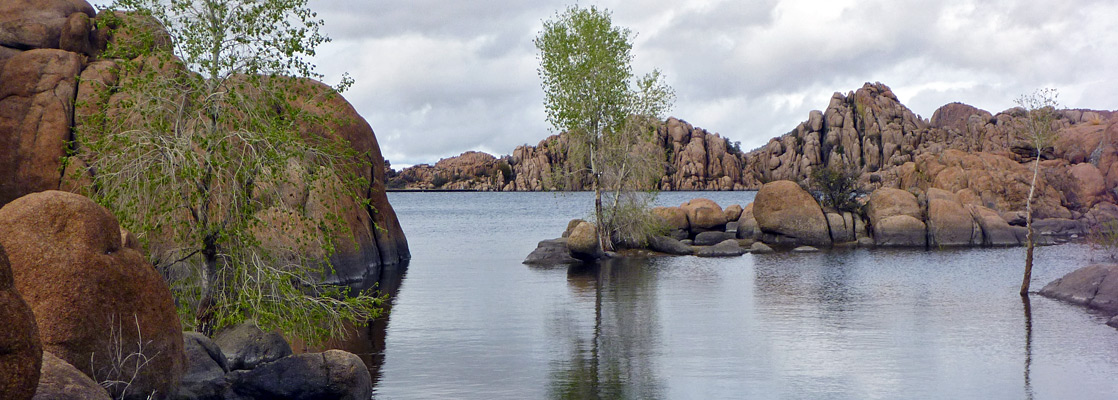 Three aspen trees, at the edge of an inlet on Watson Lake