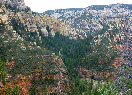 West Fork of Oak Creek