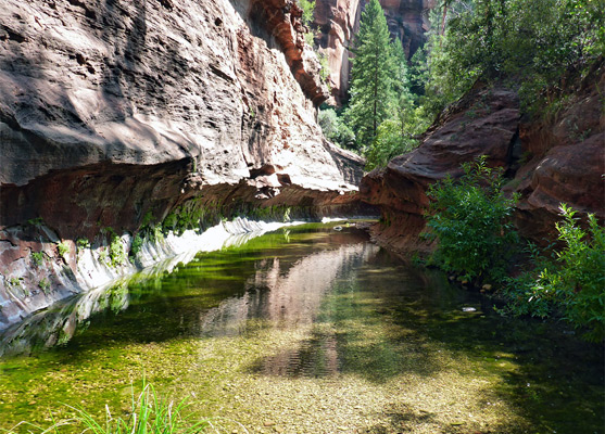 Cliffs and pool along West Fork of Oak Creek