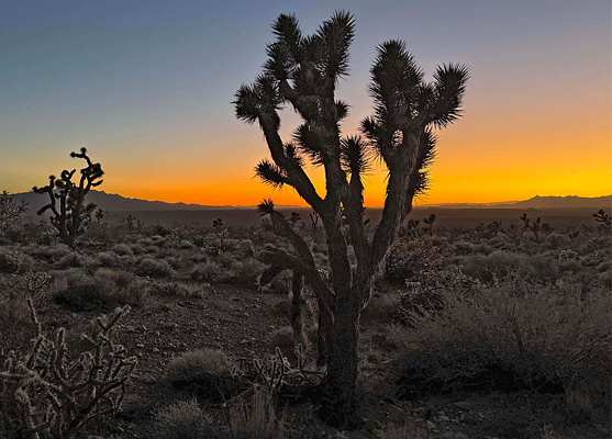 The view west, soon after sunset