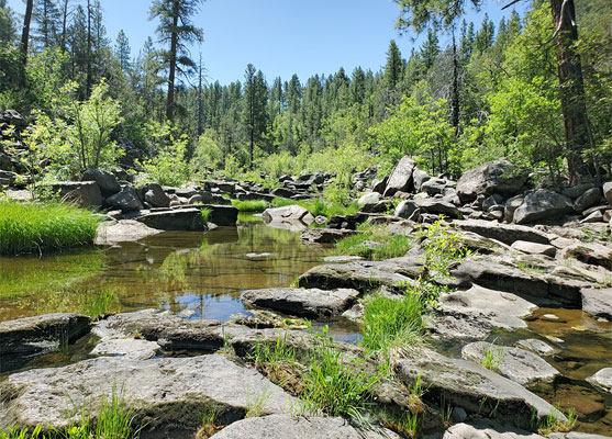 Shallow pools in Woods Canyon