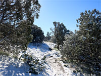 Snow on the path