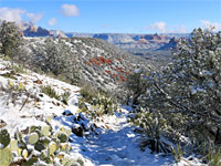 Descending trail