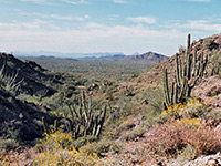 Canyon near Ajo, just north of the monument