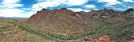 Organ Pipe Cactus National Monument