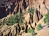 Trees and pinnacles 