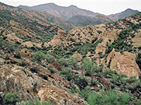 Canyon beside the Apache Trail