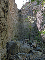 Tree below a chute