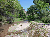 Wide, tree-lined stream