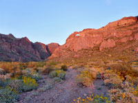 Arch Canyon Trail