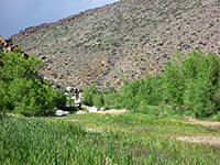 Badger Springs Canyon