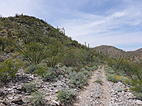photograph